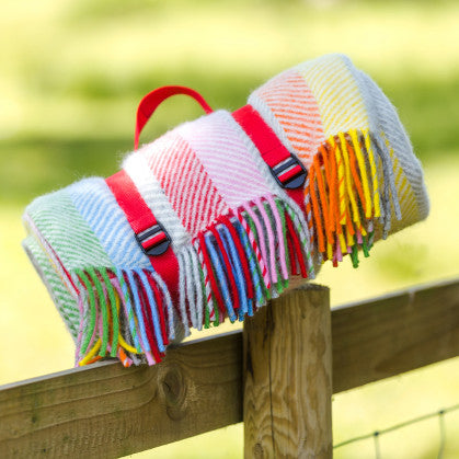 Picnic Blanket Polo Pure New Wool Rainbow Grey Stripe – Flanagan